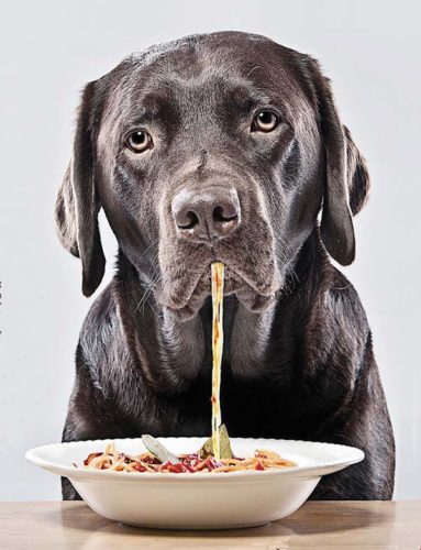 Dine Out for Pets • Monday ~ Island-Wide